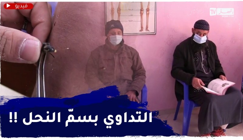 الشلف: التداوي بلسـعات النحل .. طب صيني يدخل الجزائر