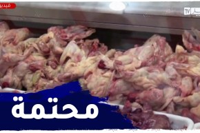 ارتفاع أسعار الدجاج..الزوالي يبنن المرقة بالرقبة والجناحتين