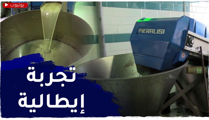 تيزي وزو: تجربة إيطالية لعصر الزيتون بأحدث التقنيات..مشروع الشاب مراد