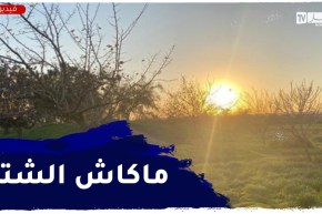 أجواء ربيعية في عز فصل الشتاء تميز أغلب ولايات الوطن