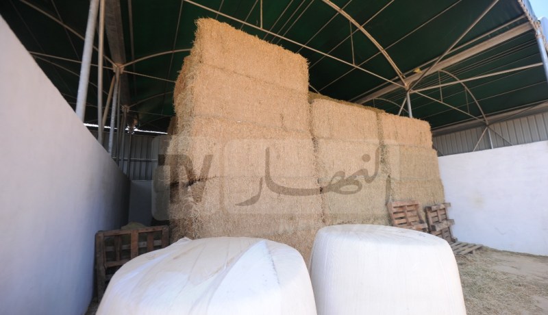 غلق المستودعات الخاصة ببيع المواد العلفية .. الموالون يطالبون بالبدائل
