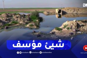 غليزان : فلاحو مرجة سيدي عابد يشكون تدهور وضعية أراضيهم بفعل المياه القذرة