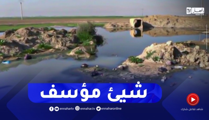 غليزان : فلاحو مرجة سيدي عابد يشكون تدهور وضعية أراضيهم بفعل المياه القذرة
