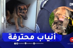 روبورتاج: أنياب محترفة لكشف المجرمين ومطـاردة المهربين