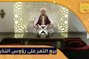 فاسألوا : حكم بيع التمر على رؤوس النخيل