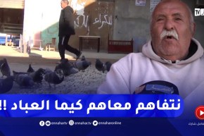 سكيكدة .. عمي رابح والحمام .. قصة عشق عمرها سنوات طويلة