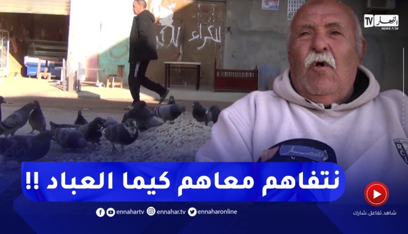 سكيكدة .. عمي رابح والحمام .. قصة عشق عمرها سنوات طويلة