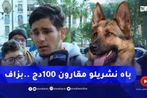 “صريح جدا / الجزائريون يعلقون على أخبار انخفاض أسعار العجائن.. “مازالت غالية