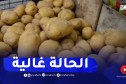 مديرية الفلاحة بالوادي تدعو لرفع سعر شراء البطاطا من الفلاحين إلى 60 دج