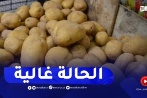 مديرية الفلاحة بالوادي تدعو لرفع سعر شراء البطاطا من الفلاحين إلى 60 دج
