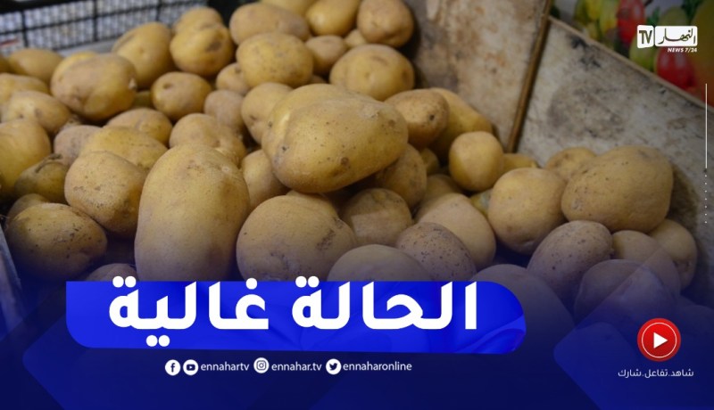 مديرية الفلاحة بالوادي تدعو لرفع سعر شراء البطاطا من الفلاحين إلى 60 دج