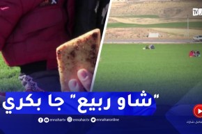 برج بوعريريج: شمس فيفري تُعجّل بانطلاق تظاهرة “شاو ربيع”