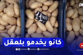إرتفاع أسعار البطاطا وزارة التجارة تكشف الأسباب 