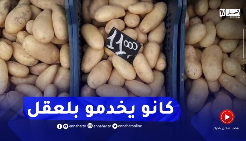 إرتفاع أسعار البطاطا وزارة التجارة تكشف الأسباب