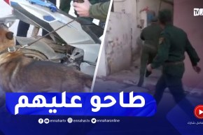 شاهد ما عثر عليه رجال الدرك خلال مداهمات لاحياء فوضوية بوهران!!