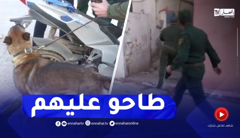 شاهد ما عثر عليه رجال الدرك خلال مداهمات لاحياء فوضوية بوهران!!