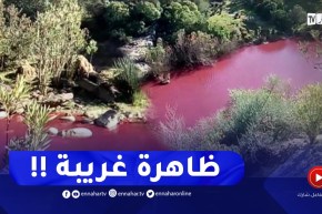 كارثة بيئية .. ظهور اللون الأحمر في مياه وادي سيبوس بمحاذاة سد الشافية في الطارف