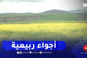 طقس: أجواء ربيعية نهاية فيفري وبداية مارس..التفاصيل