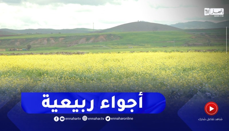 طقس: أجواء ربيعية نهاية فيفري وبداية مارس..التفاصيل