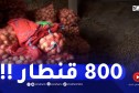 حجز 800 قنطار من البطاطا كانت موجهة للمضاربة بأولاد خلوف