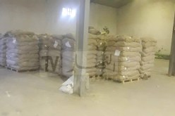 ميلة: حجز 1200 قنطار من بذور البطاطا مُخزّنة بتاجنانت
