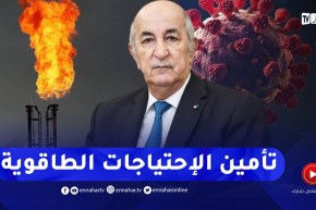 رئيس الجمهورية: العالم إستطاع الإعتماد على الغاز لتأمين الإحتياجات الطاقوية خلال أزمة كورونا