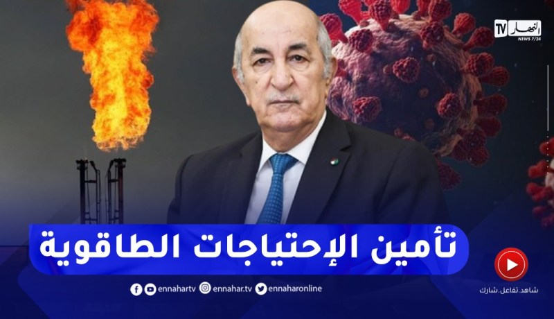 رئيس الجمهورية: العالم إستطاع الإعتماد على الغاز لتأمين الإحتياجات الطاقوية خلال أزمة كورونا