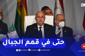 رئيس الجمهورية : أكثر من 65% من الأسر الجزائرية موصولة بالغاز الطبيعي