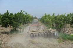 والي سطيف: 938 مستثمرة فلاحية سيتم ايصالها بالكهرباء