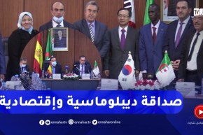 لجان الصداقة مع عديد الدول.. ما الذي ستضيفه دبلوماسيا وإقتصاديا