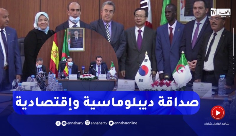 لجان الصداقة مع عديد الدول.. ما الذي ستضيفه دبلوماسيا وإقتصاديا
