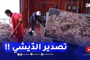 مجمع بلاط يحول بقايا الدجاج إلى أعلاف حيوانات موجهة للتصدير