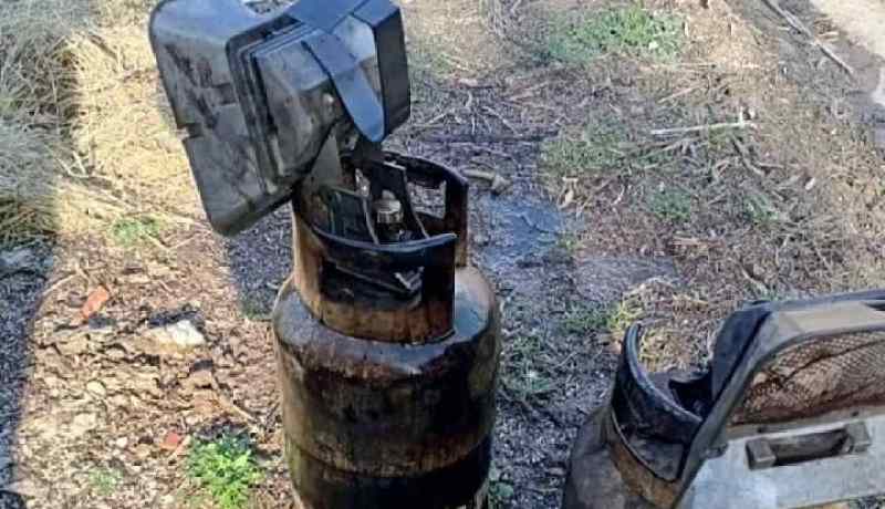 الشلف: تفحم 1500 صوص في إندلاع حريق داخل إسطبل لتربية الدواجن