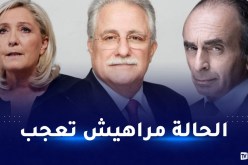 دعا مسلمي فرنسا إلى التصويت.. عميد مسجد باريس متخوف من صعود اليمين المتطرف