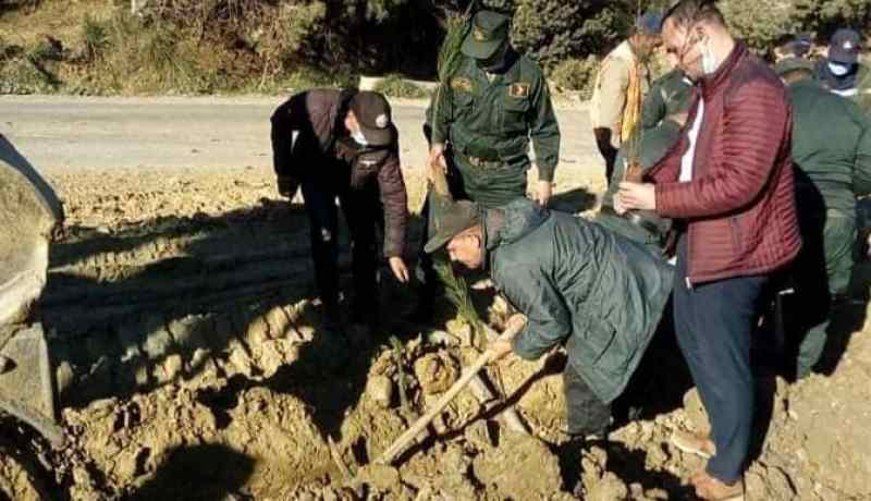 الشلف: غرس 550 شتيلة مكان المفرغة العمومية بمنطقة بودادة