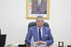 رئيس الفاف ينصب لجنة تنظيم “الشان”