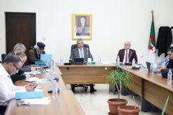 الفاف تنهي مهام عامر شفيق من على رأس المديرية الفنية الوطنية