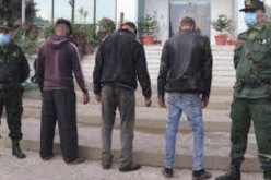 درك بالبوني تنجح في تطيح بشبكة مختصة في الحرڨة