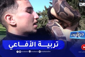 جزائريون: تربية الأفاعي.. التجارة المربحة المحفوفة بالمخاطر