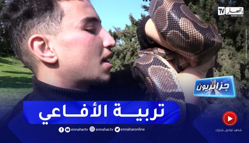 جزائريون: تربية الأفاعي.. التجارة المربحة المحفوفة بالمخاطر