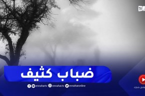 أحوال الطقس / ضباب كثيف على المناطق الساحلية .. تفاصيل