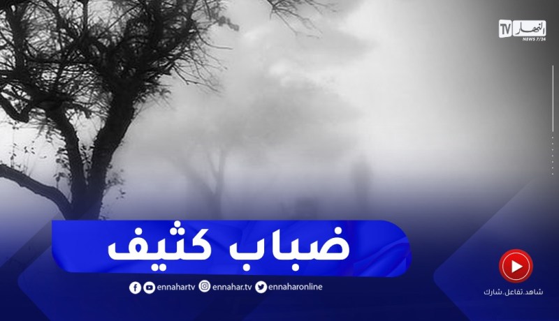 أحوال الطقس / ضباب كثيف على المناطق الساحلية .. تفاصيل