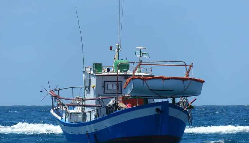 الكشف عن موعد صناعة أول سفينة لصيد التونا بالجزائر