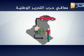 هذا كل ما يجب أن يعرفه المواطن عند إستيراد سيارته بنفسه