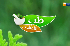 طب الأعشاب: فوائد القسط الهندي وطرق العلاج به