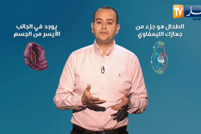 صحة MAG: مرض تضخم الطحال.. النصائح والعلاج !