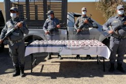 الوادي: الجيش والجمارك يحجزان 8382 قرص مهلوس مهرّبة
