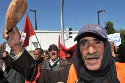 المغرب: إحتجاجات عارمة في الشارع بسبب غلاء الأسعار