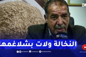 مربو المواشي يستغربون تخطي سعر النخالة لسعر الفرينة