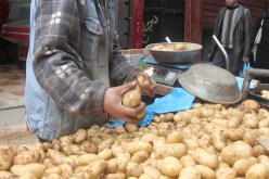 تقييم سير جهاز ضبط المنتجات الفلاحية واسعة الاستهلاك “سيربالاك”